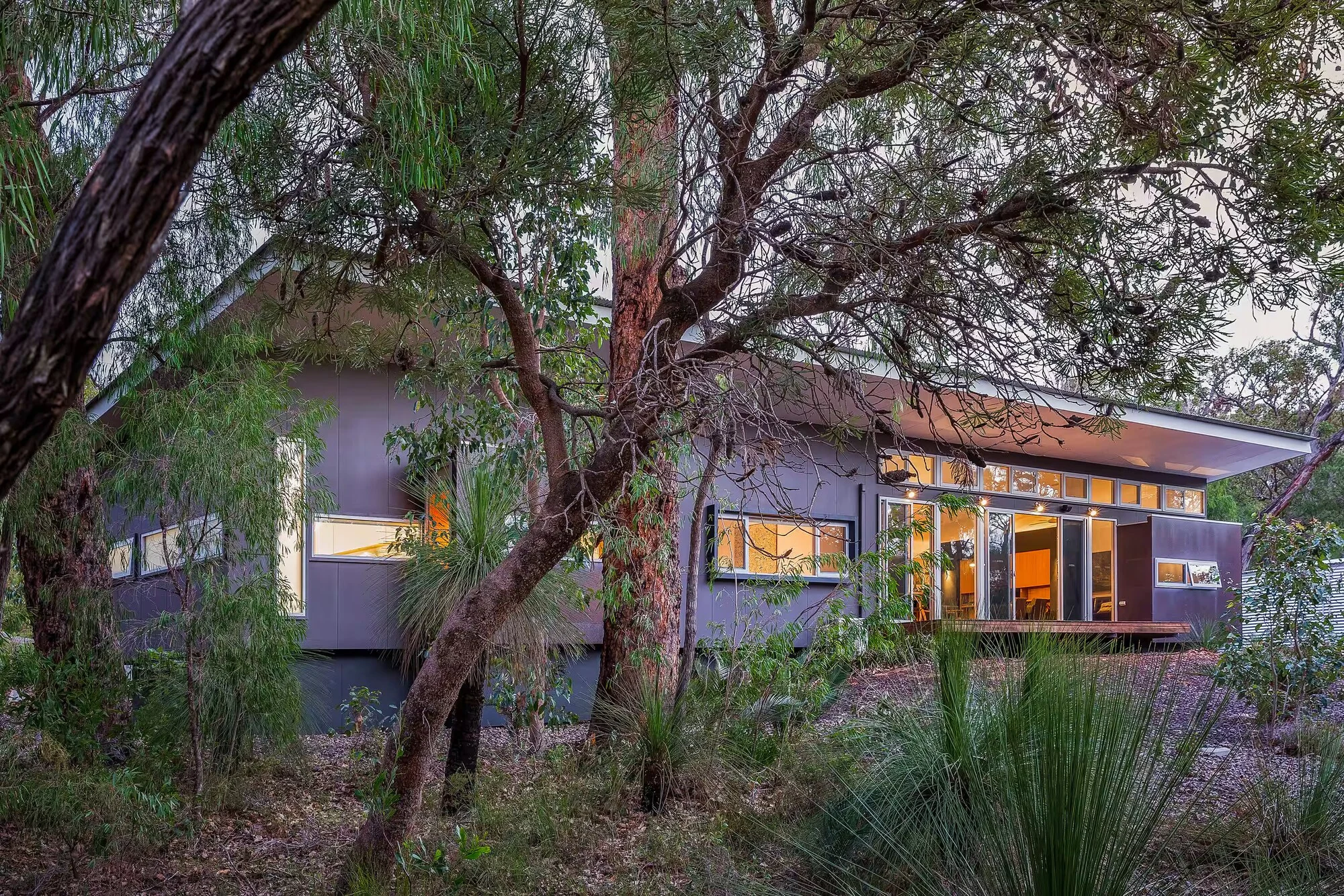 Injidup Sanctuary's contemporary exterior nestled among native trees, with warm light shining through the windows
